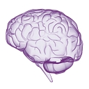 Learningrx data breach